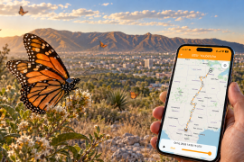 Saltillo se prepara para el paso de la monarca con una herramienta que permite seguir ejemplares equipados con transmisores. Project Monarch muestra todas las ubicaciones de las mariposas desde su salida en Canadá, hasta su llegada al Santuario de la Mariposa Monarca, en Michoacán.