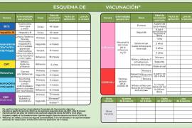 Que los menores tengan su esquema de vacunación completo, les garantiza una buena salud.