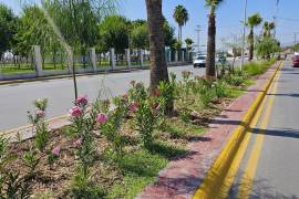 La rehabilitación del camellón central del bulevar Juan Pablo II abarca cerca de cuatro kilómetros.