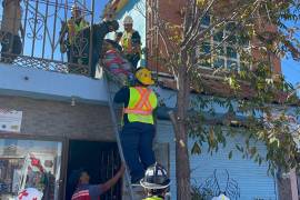 Un equipo de bomberos rescata al albañil atrapado bajo los escombros, mientras lo estabilizan antes de su traslado al hospital.