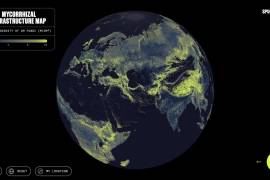 En la imagen el mapa global de la densidad de hifas de hongos micorrícicos arbusculares.