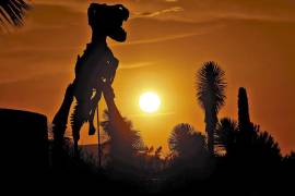 Desde el desierto más famoso de México hasta pueblos con tradición vinícola, Coahuila guarda historias, paisajes y récords que muchos desconocen