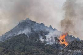 Desde enero a la fecha, Coahuila tiene un área de 6 mil 300 hectáreas afectadas por al menos 61 incendios forestales.