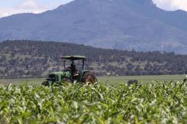 Producir un kilogramo de carne requiere 15 mil litros de agua, lo que pone en evidencia la necesidad de mejorar la gestión del agua en la cadena de producción alimentaria.