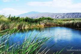 Hay ofertas para navegar en kayak o nadar junto a las tortugas de concha blanda, sin considerar el daño que esto puede causar al ecosistema.