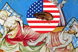 Peste Bubónica en California; segundo caso reportado en los Estados Unidos en el 2025