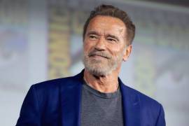 Arnold Schwarzenegger debutará en televisión con una serie de acción