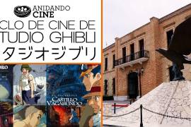 La oferta cultural del MUSAVE ha sido clave para el fomento educativo sobre el conocimiento de las aves de todo el mundo.