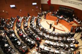 Senado rechaza elegir nuevo titular de la CNDH; Rosario Piedra rendirá protesta
