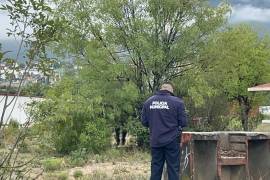 Un joven de entre 25 y 30 años fue encontrado colgado de un árbol en el parque Solidaridad de Saltillo.