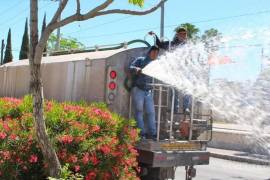 Personal del municipio mantiene áreas verdes con agua tratada para ahorrar agua potable.