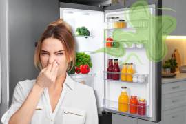 Mantener el refrigerador limpio y libre de malos olores no solo mejora su funcionamiento, sino que también ayuda a conservar los alimentos frescos por más tiempo.
