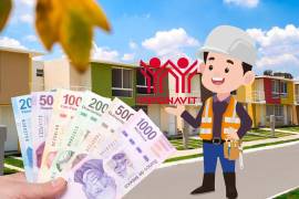 Mejoravit Solo para Ti es un crédito no hipotecario del Instituto del Fondo Nacional de la Vivienda para los Trabajadores (Infonavit).