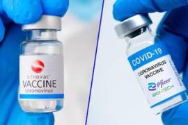 Según la Universidad de Hong Kong las dos vacunas no son efectivas contra la nueva variante ómicron
