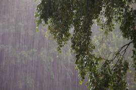 Las lluvias intensas previstas para este 22 de diciembre podrían generar encharcamientos, incremento en ríos y arroyos e inundaciones en zonas de Puebla, Veracruz y Oaxaca, de acuerdo con el Servicio Meteorológico Nacional