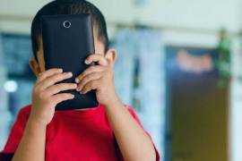 El estudio plantea riesgos por el uso de datos personales, estereotipos y estrategias de persuasión en plataformas.