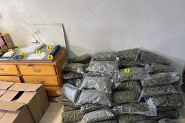 Un cateo en el centro de Monterrey permitió asegurar 89 bolsas con presunta marihuana, además de equipo y documentos, informó la Fiscalía de Nuevo León tras intervenir un inmueble ligado a una investigación previa.