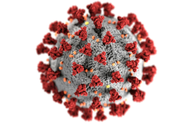 El metapneumovirus humano (HMPV) es un virus respiratorio que ha comenzado a ganar notoriedad debido a su capacidad de causar infecciones severas.