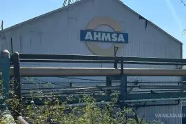 La historia reciente de Altos Hornos de México (AHMSA) está rodeada por controversias de todo tipo.