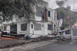 Las lluvias constantes que se registraron en Nuevo León en las últimas horas dejaron como saldo una persona herida