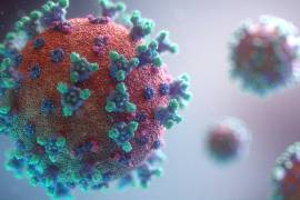 Todo parece indicar que científicos encontraron el punto débil del coronavirus
