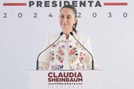 “Coincido con el Presidente: ¿Por qué la OEA no habla en otros casos y en este caso sí?”, expresó