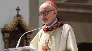 El cardenal Michael Czerny, prefecto del Dicasterio para el Servicio del Desarrollo Humano Integral.