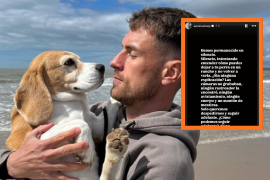 La perrita de Aaron Ramsey, Halo, se extravió en un albergue de San Miguel de Allende mientras el futbolista estaba de viaje con la selección de Gales.