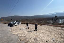 La zona recreativa fue acordonada por Protección Civil mientras la Profepa coordina el manejo de los ejemplares.