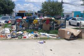 La acumulación de basura dentro y fuera de los contenedores ha generado problemas de contaminación y molestias para los habitantes de Privadas de Santa Teresa.