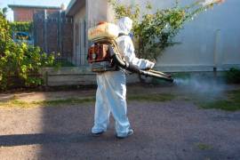 Brigadas de salud realizan fumigación en colonias con mayor presencia del mosquito transmisor.