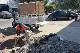 Programa ‘De la Herradura al motor’ incorpora nuevos servicios en Torreón.