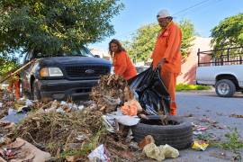El servicio recolecta más de 600 toneladas de residuos cada día en el municipio.