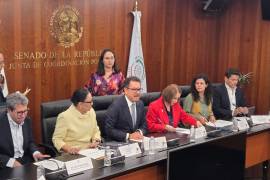La propuesta contempla simplificar el ejercicio de voto y el diseño de las boletas electorales, además de adecuar la revocación de mandato.