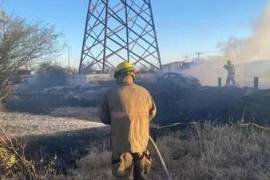 Tras chocar contra una torre, el auto se incendió, y aunque el joven fue rescatado del auto, murió en el lugar.