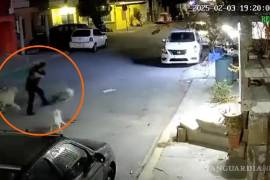 Se ignora dónde quedó la perrita golpeada con un bat por un hombre en Ramos Arizpe.