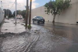 La intensa lluvia registrada la tarde de este jueves provocó encharcamientos en distintos sectores de Saltillo.