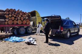 Paramédicos de Protección Civil confirmaron el fallecimiento del trabajador tras el impacto de la madera.