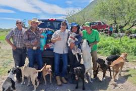 Funcionarios del Municipio de Saltillo visitaron el albergue de Daniel Martínez y entregaron alimento para los perros rescatados.