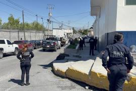 Elementos de la Policía del Estado aseguraron un camión que transportaba una presunta carga de mariguana en la carretera Saltillo-Torreón.