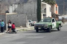 El dueño del perro reconoció que es la segunda vez que el animal ataca a alguien y decidió entregarlo.