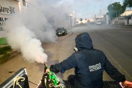 Autoridades intensificaron las labores de fumigación y ya suman más de 80 mil casas.