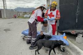 El incidente fue reportado inicialmente como un posible atropellamiento, lo que movilizó a cuerpos de emergencia y autoridades municipales.