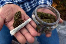 SCJN discutirá eliminar límite de posesión de mariguana para consumo personal