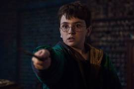 Apuesta. John Lithgow, Paapa Essiedu y Janet McTeer darán vida a algunos de los profesores más importantes de Hogwarts en la nueva serie.
