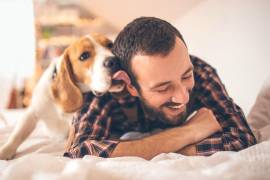 Es posible reducir de manera significativa el riesgo de contraer enfermedades por contacto con mascotas, especialmente durante la temporada de calor y lluvias.