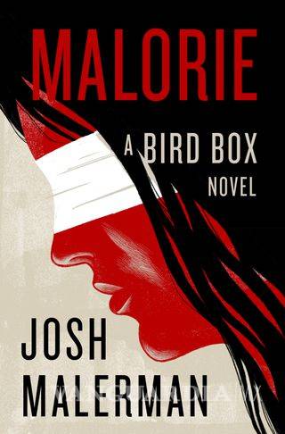 $!Autor del libro 'The Bird Box' filtra nombre de secuela: 'Malorie'; ¿llegará al cine también?