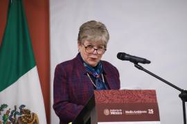 La secretaria de Medio Ambiente y Recursos Naturales de México (Semarnat), Alicia Bárcena Ibarra