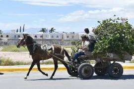 El municipio reforzará la presencia de inspectores en colonias con reportes recurrentes.
