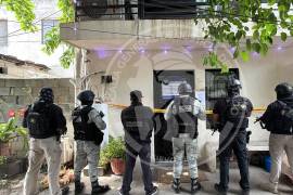 Un cateo en Monterrey derivó en el decomiso de 580 kilos de Marihuana